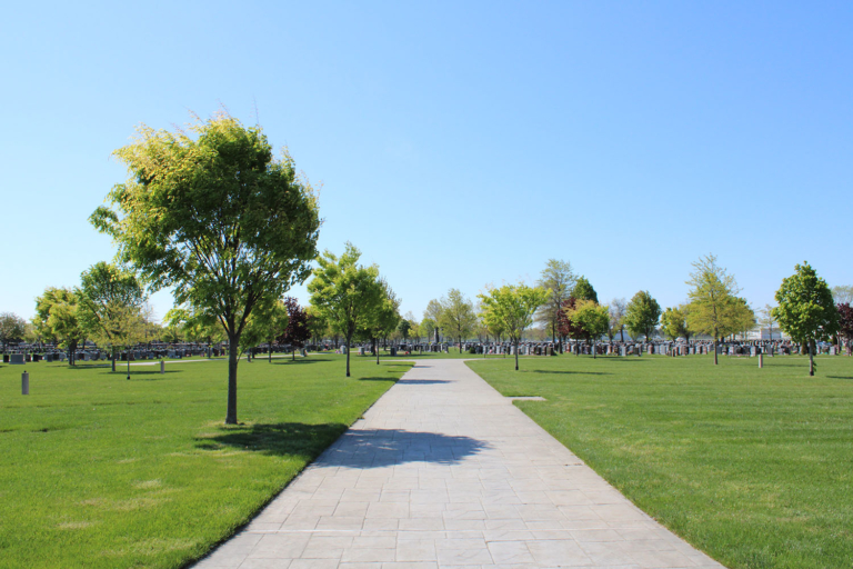 SCR_Gravesite_Sec37_Pic04