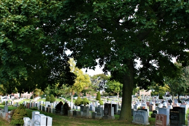 Traditional Gravesites – St. John – Catholic Cemeteries (Queens & Brooklyn)